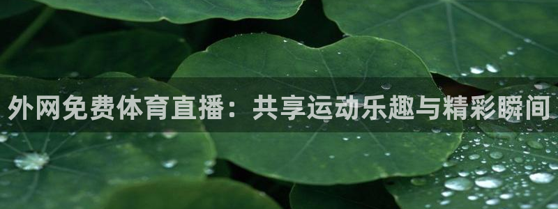 斗球直播官网最新版