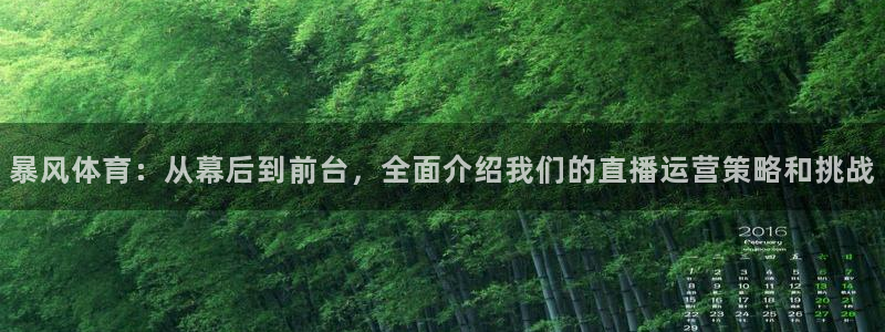 斗球直播篮球回放视频