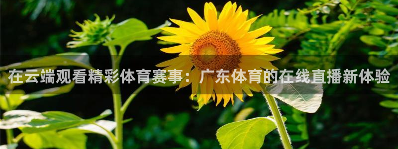 斗球直播app下载官方版