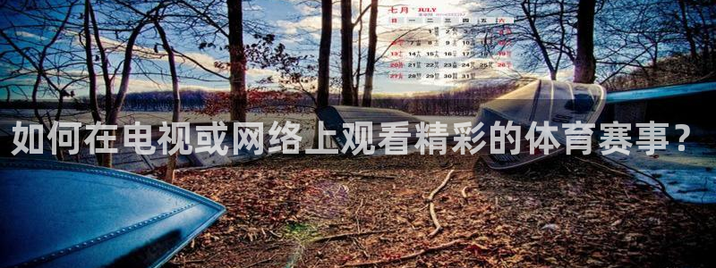 斗球直播app下载