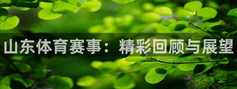 斗球直播(免费)
