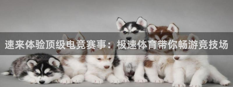 斗球直播(免费版)