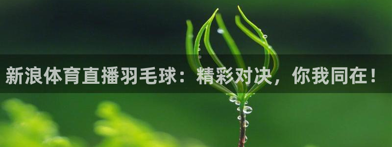 斗球直播nba在线观看
